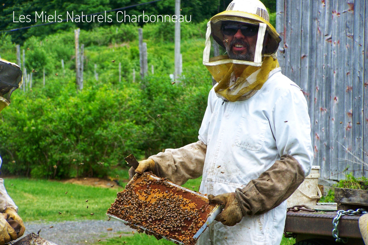 Les Miels Naturels Charbonneau, miel, produit du miel, Au Paradis des Fruits Dunham