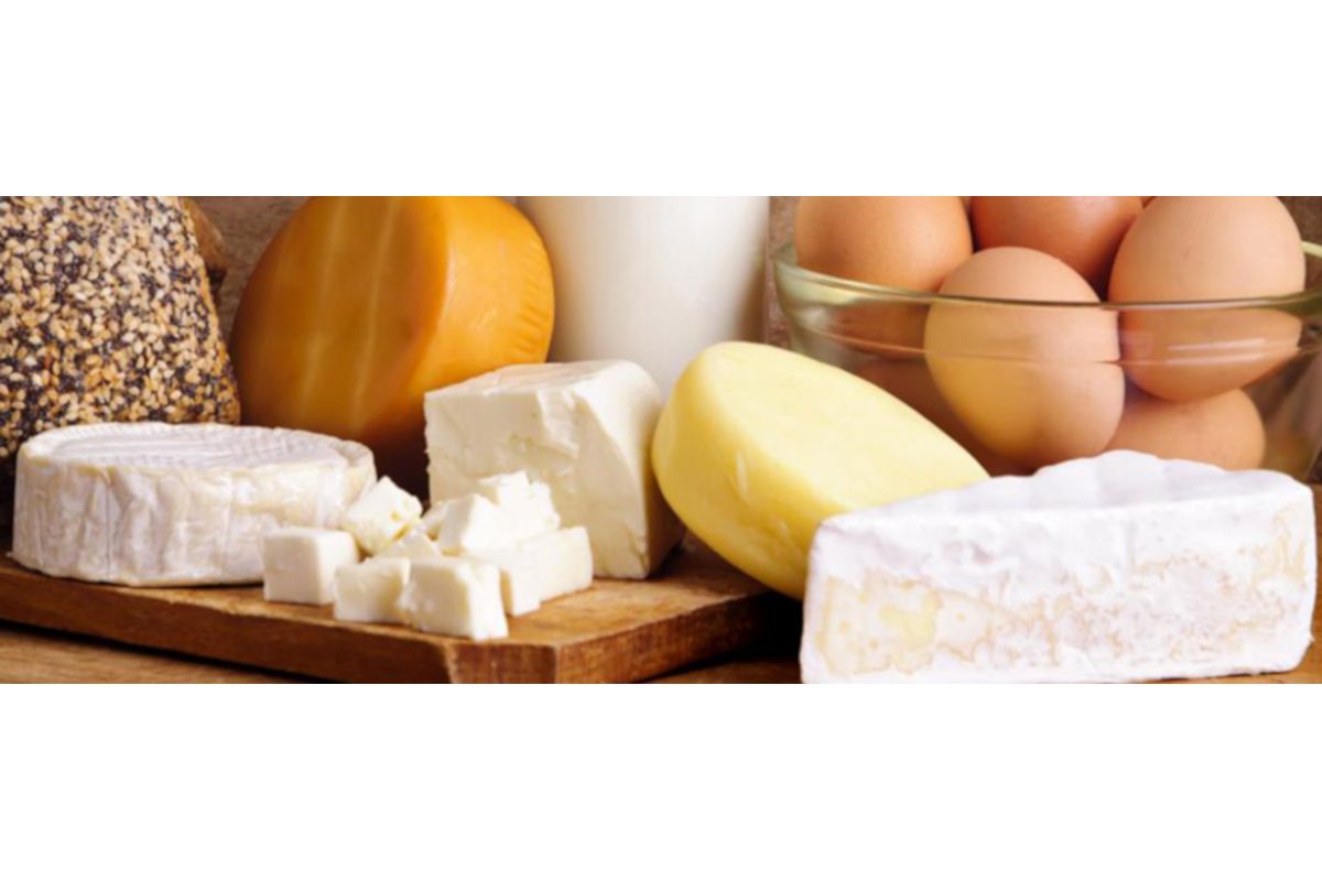 Fromagerie des Cantons, fromagerie, fromage, yogourt, 