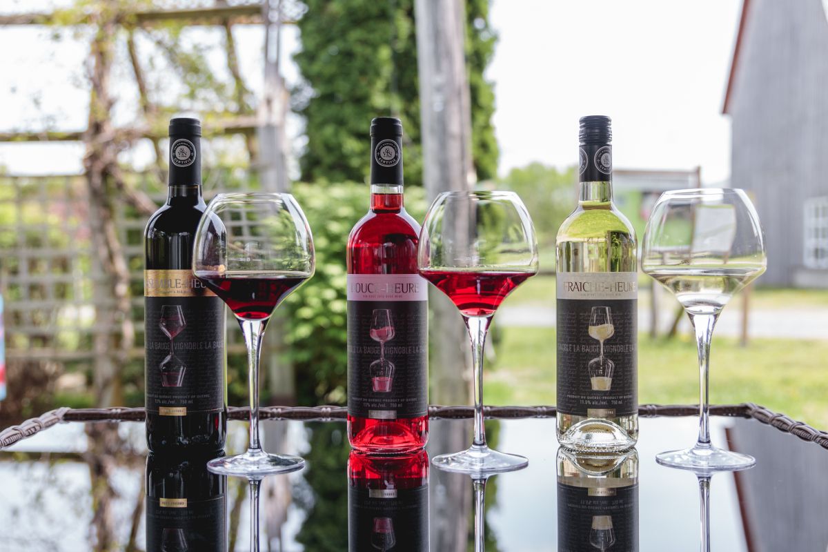 Vignoble de la Bauge, vin blanc, vin rosé, vin rouge, vin rouge fortifié, vendange tardive, Vermouth, vignoble, vin, animaux, expérience