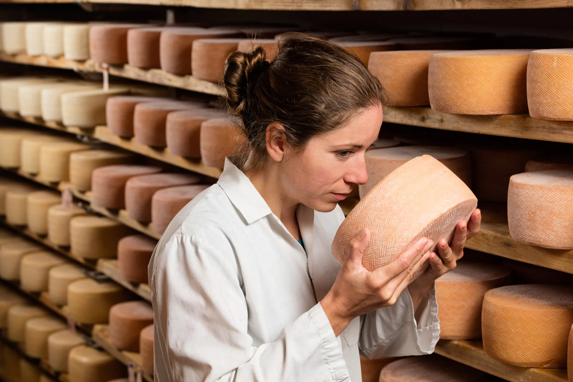 Les Têtes Fromagères des Cantons-de-l'Est - Créateurs de saveurs des Cantons-de-l'Est