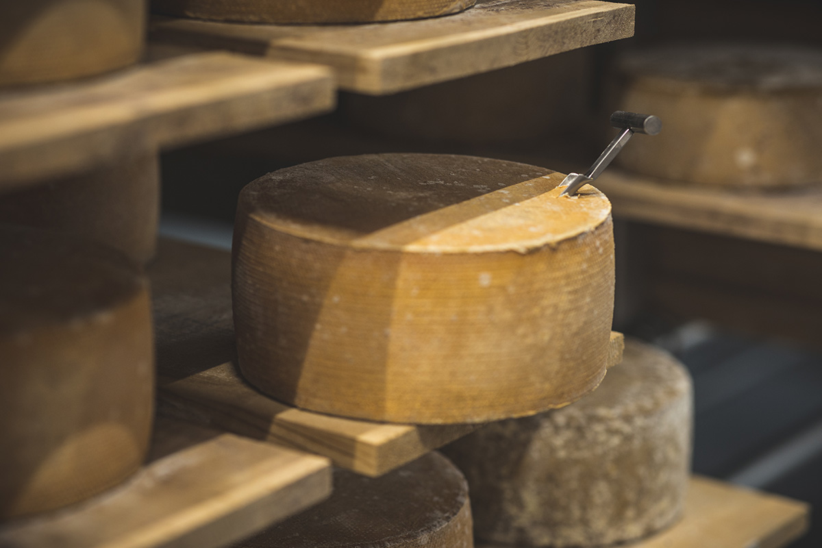 Les Têtes Fromagères des Cantons-de-l'Est - Créateurs de saveurs des Cantons-de-l'Est