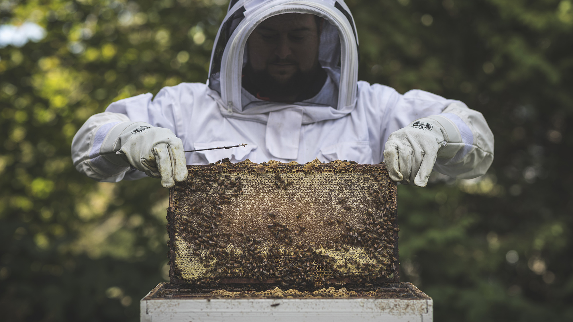 Agrotourisme - Créateurs de saveurs Cantons de l'Est