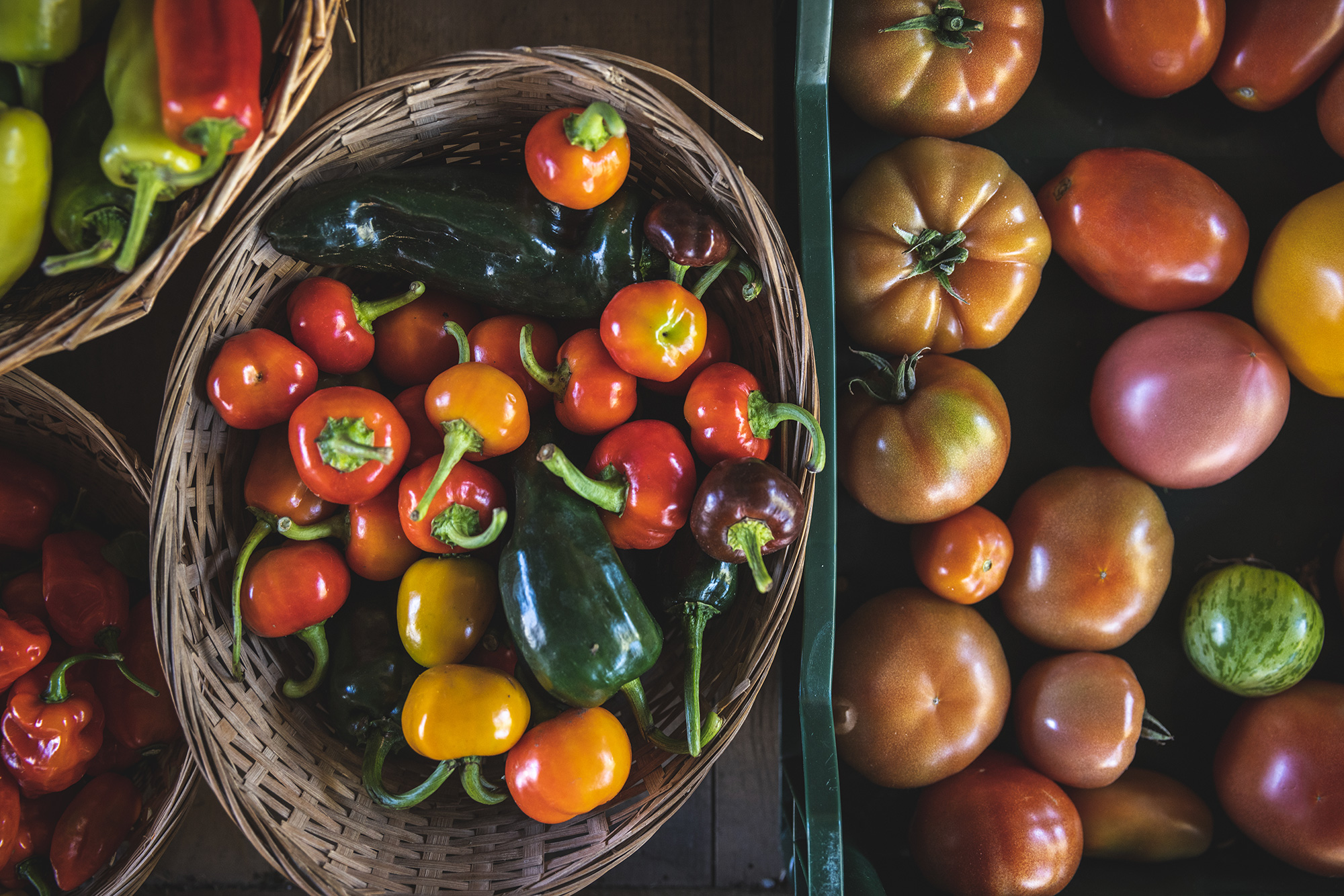 Épiceries Saveurs des Cantons-de-l’Est - Créateurs de saveurs des Cantons-de-l'Est