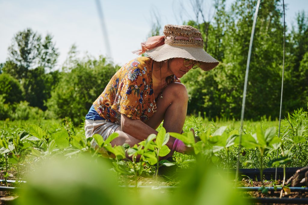 femme qui travaille la terre dans un jardin en été