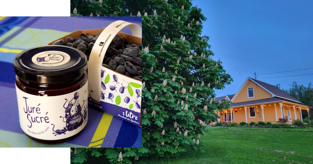 confiture en pot et panier de camerises sur fond d'un arbre marronnier et gîte en été