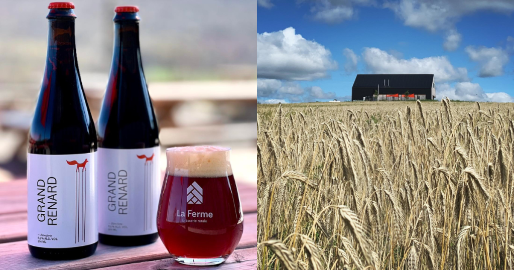 deux bière en bouteilles de vitre et un verre de bière rousse, sur fond de champs de blé et microbrasserie en été