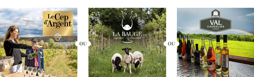 Forfait disponible parmi les vignobles suivants : Val Caudalie, Domaine du Ridge, Vignoble le Cep d’Argent et Vignoble de la Bauge. 
