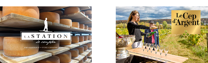 Forfait Vins et fromages : Fromagerie La Station et Vignoble le Cep d’Argent . 