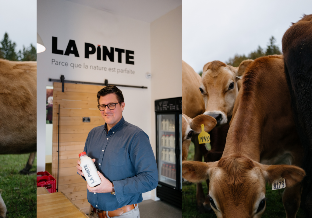 vaches au pâturage avec un homme dans une boutique qui tient une pinte d elait en vitre