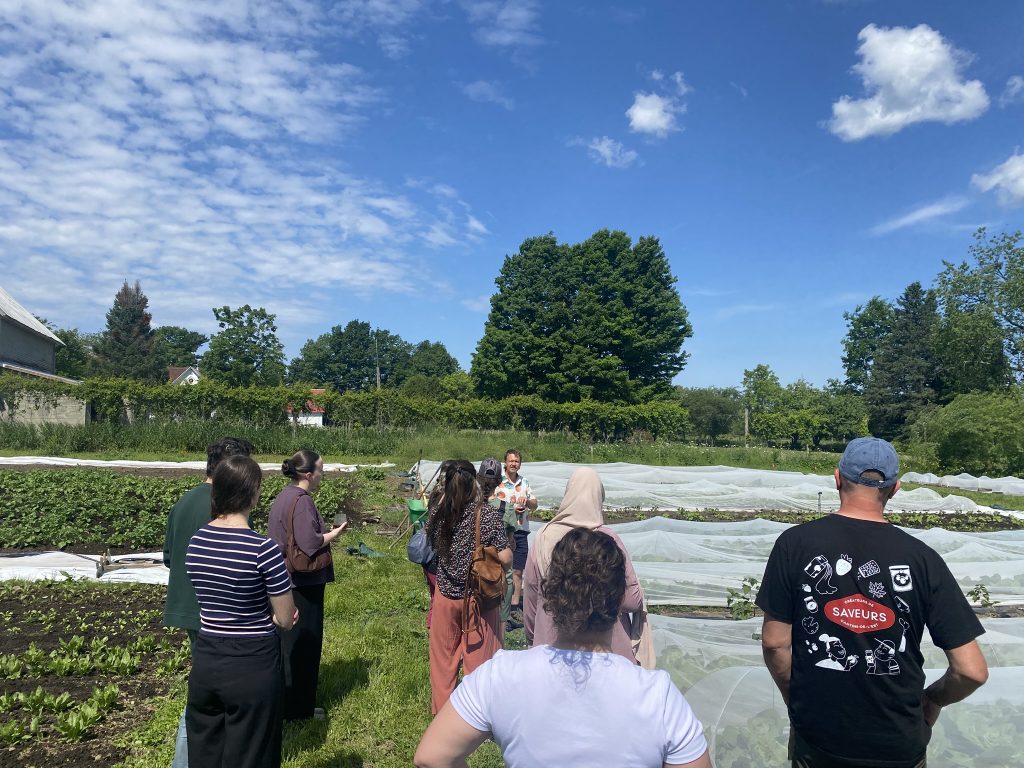 groupe de personnes en visite dans un champ de légumes en été