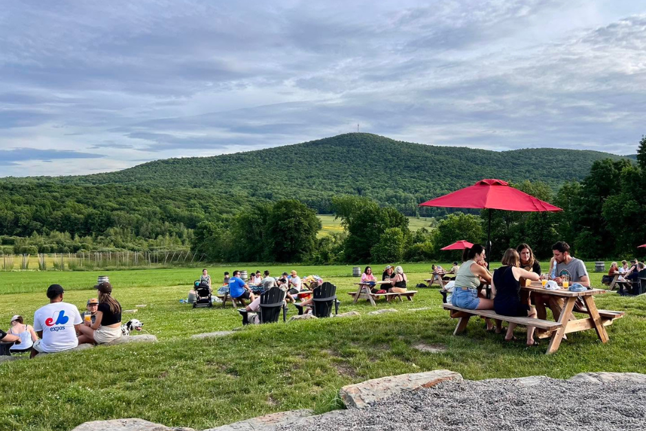 terrasse donnant sur un pré, une montagne avec des gens et un chien
