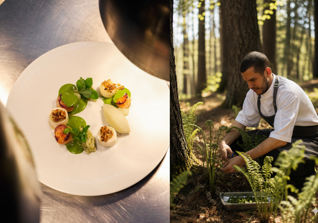 assiette d'un plat gastronomique en dans la cuisine d'un restaurant et un chef qui cueille des têtes de violon en forêt