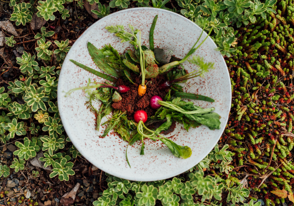 photo d'un plat gastronomique comportant des verdures, carottes et autres légumes sur de la verdure