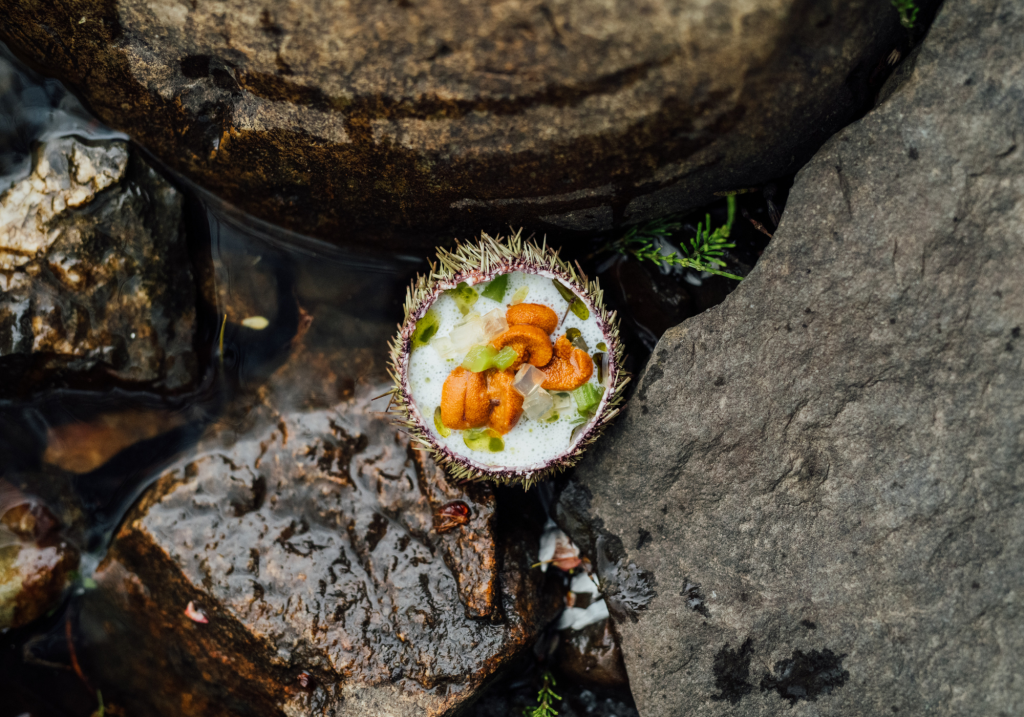 plat gastronomique dans un oursin